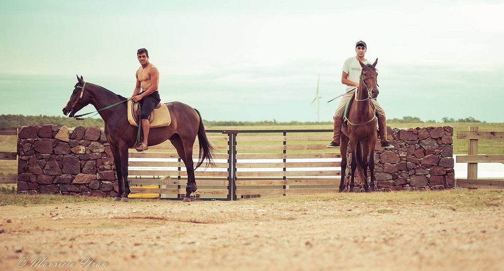 Sporting Cristal: Ifrán aficionado a los caballos y tiene stud propio